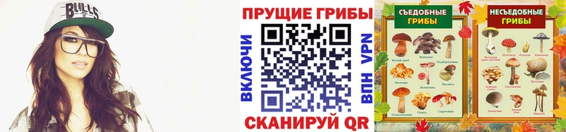 Псилоцибиновые грибы мухоморы где купить наркоту Юхнов